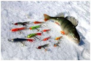 Winter perch fishing on the balancer