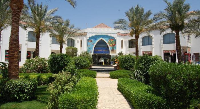 Отель Viva Sharm Hotel 3