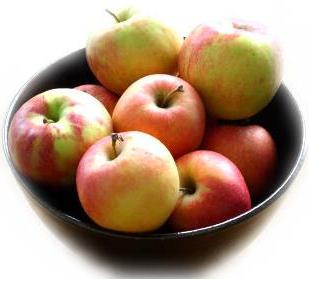 полезные свойства яблок