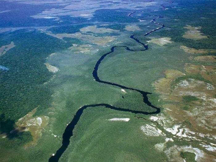 Orinoco River