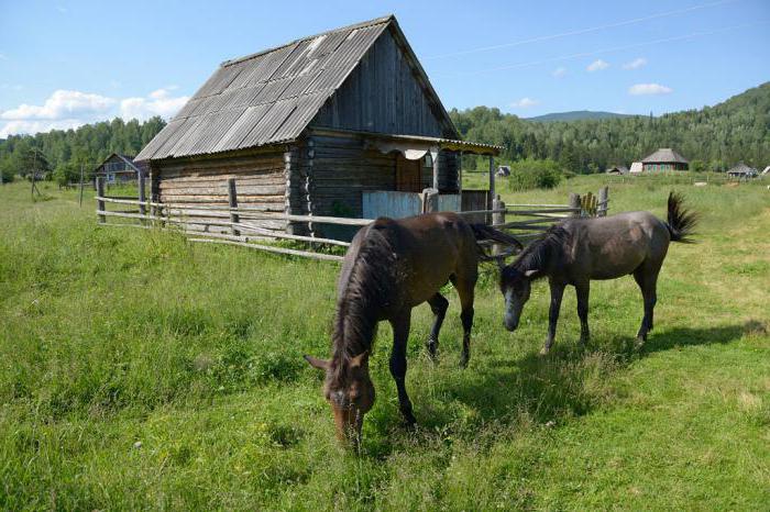 Шорский национальный парк фото