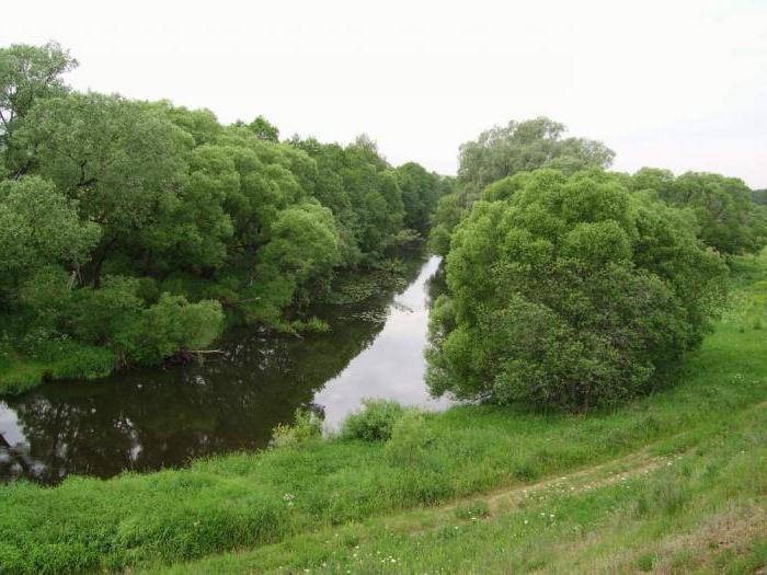 Severka River