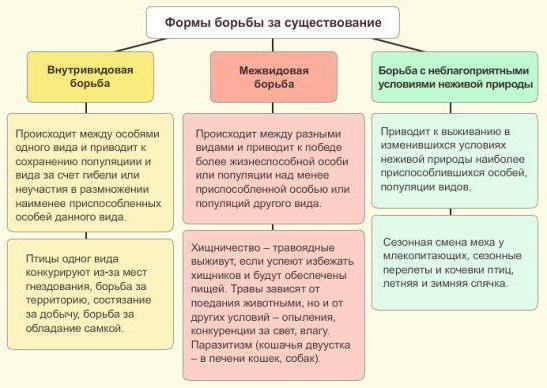 борьба с неблагоприятными условями примеры