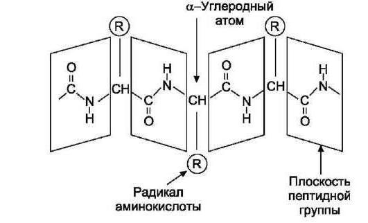 Матрица аминокислотных замен рам 250