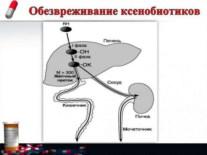 biotransformation is