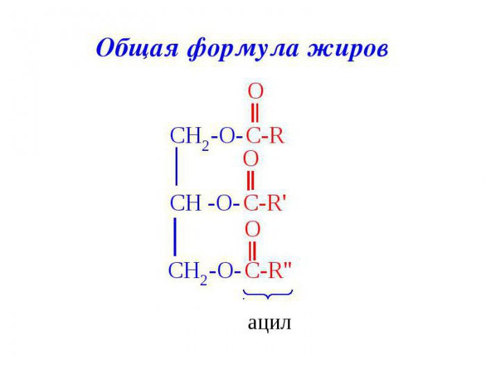 общая формула жиров химия