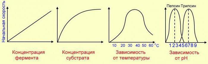 уравнение зависимости скорости химической реакции от температуры