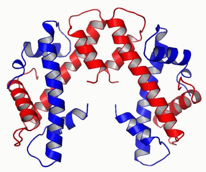 негистоновые белки хроматина