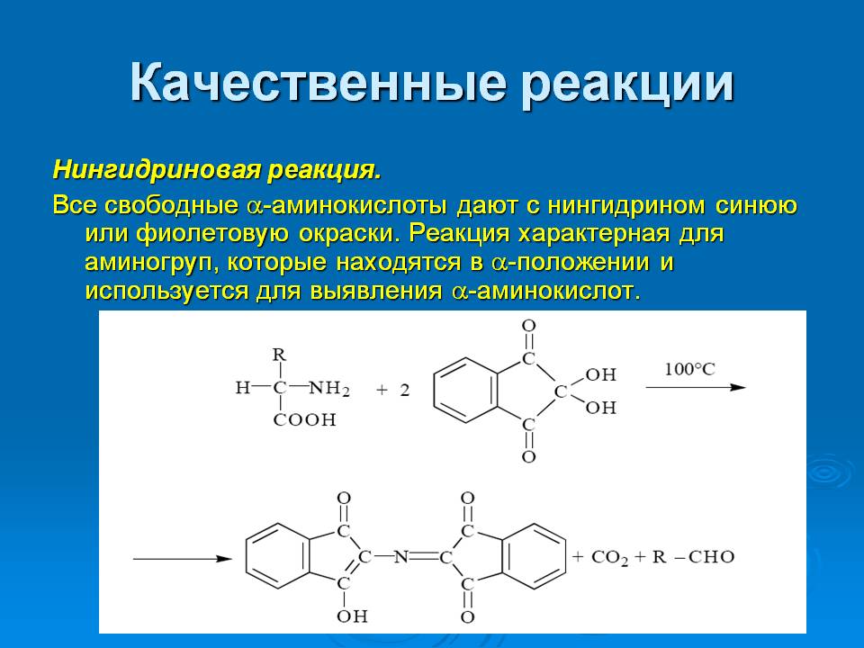 Полипептиды с азотной кислотой дают фиолетовое окрашивание. Реакция с нингидрином на аминокислоты. Кислота глутаминовая нингидриновая реакция. Взаимодействие аминокислот с нингидрином. Аминокислота нингидрин реакция.