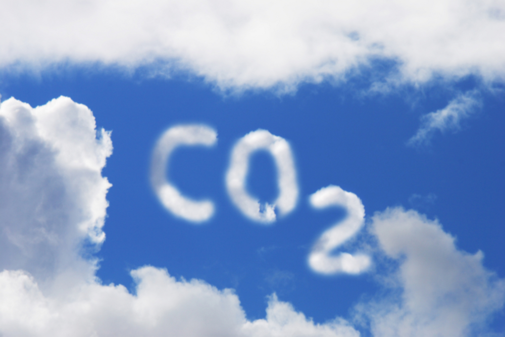 повышение содержания углекислого газа в атмосфере вызывает