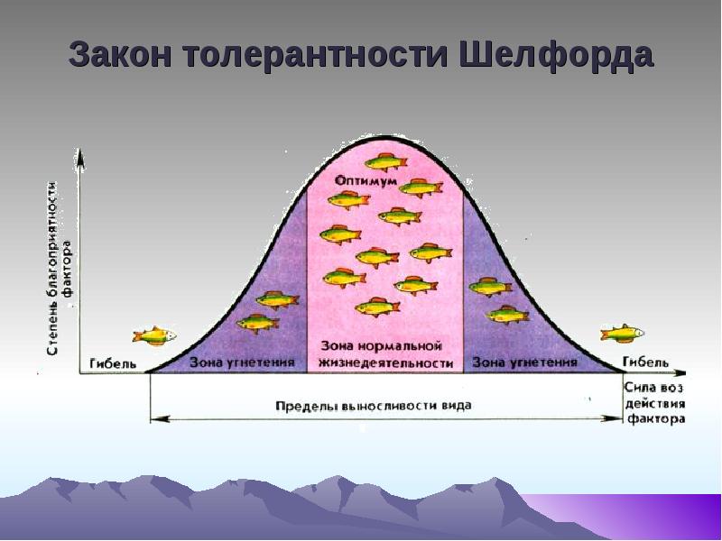 Картинки закон оптимума