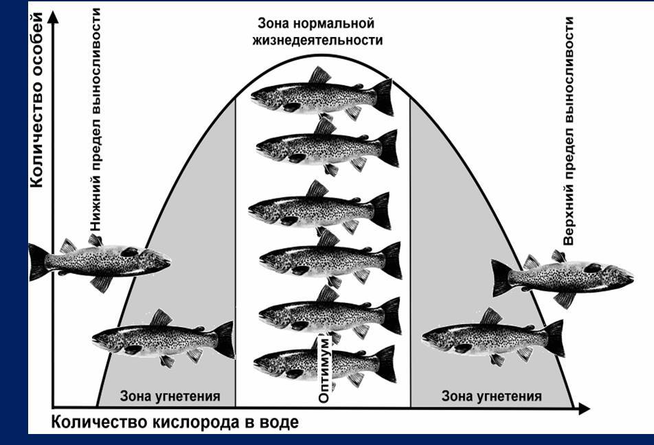 tolerance features