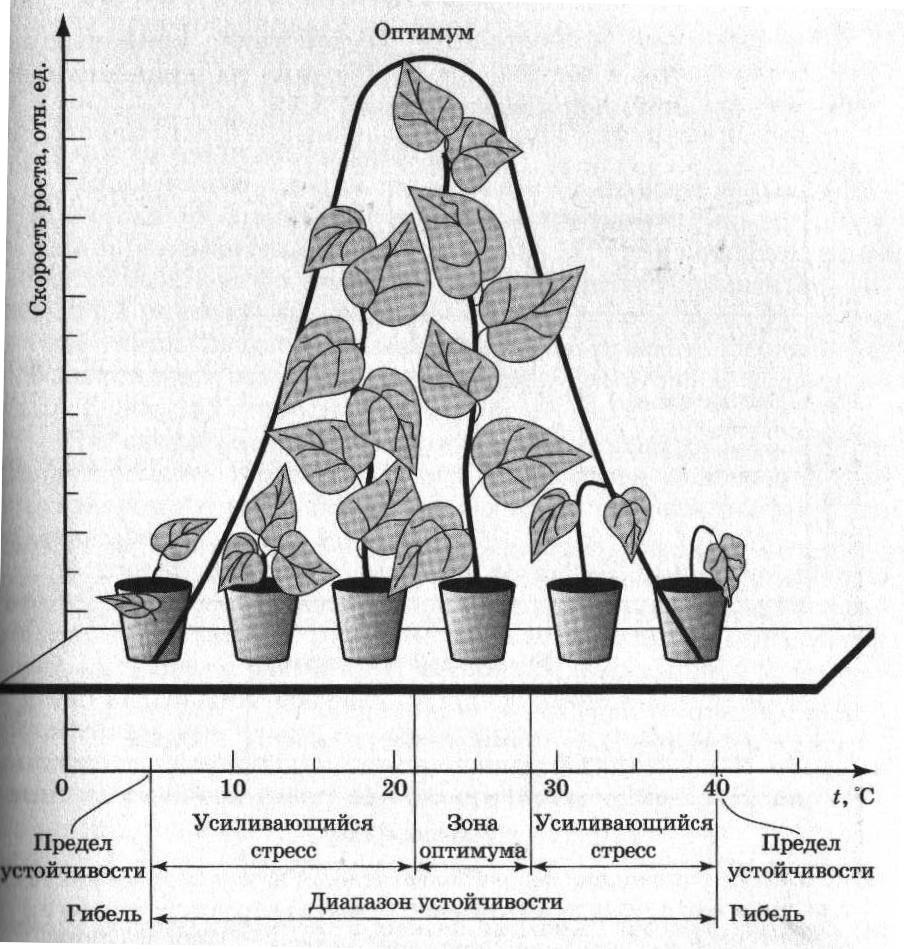 specificity of environmental tolerance