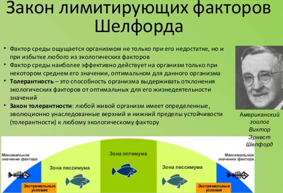 what is the essence of the law of tolerance