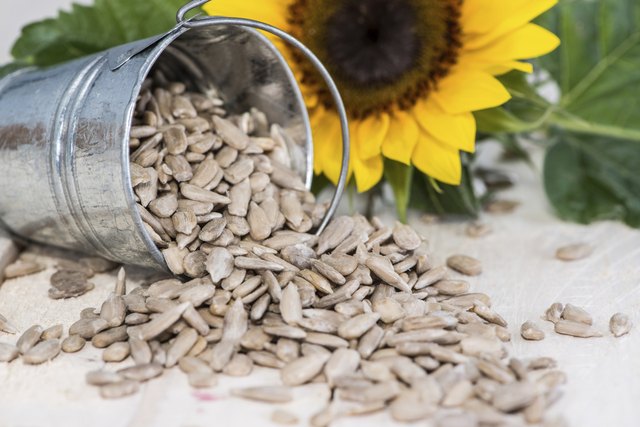 how much lecithin is in sunflower seeds