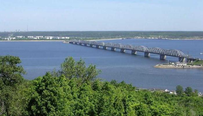 географическое положение поволжья