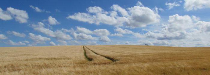 what does the word arable land mean