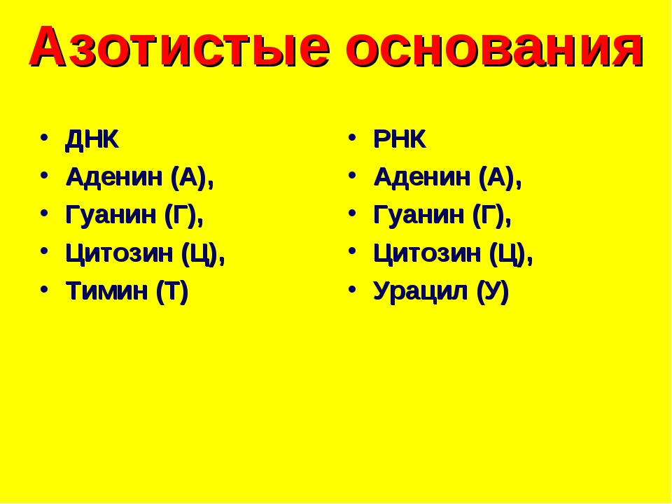 comparison of dna and rna chemistry table