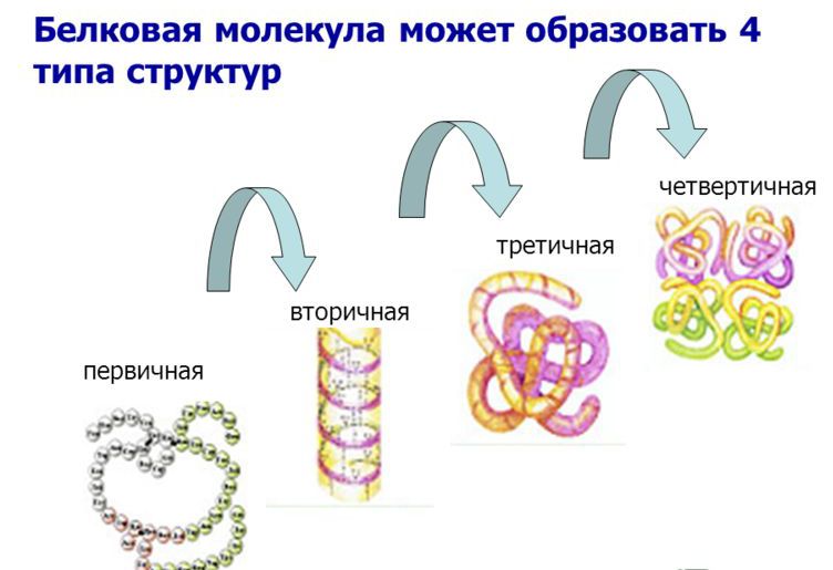 comparison of dna and rna table similarity