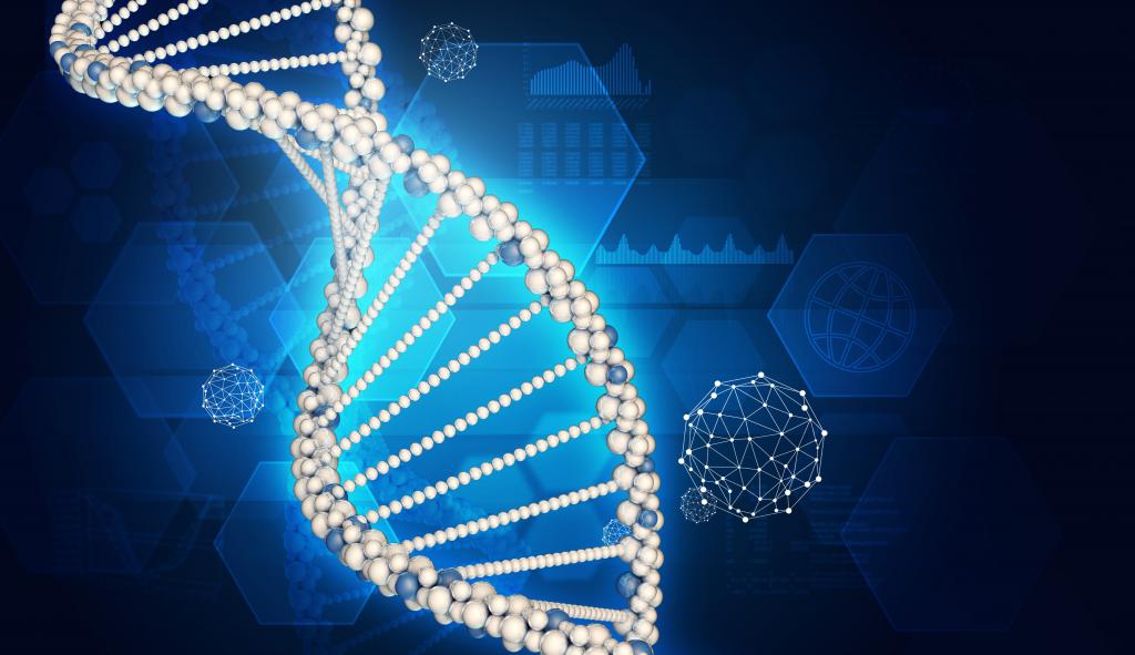 comparison of dna and rna table structure