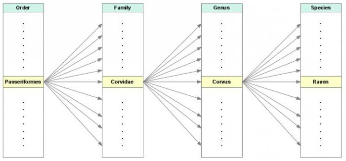 mysql query limit