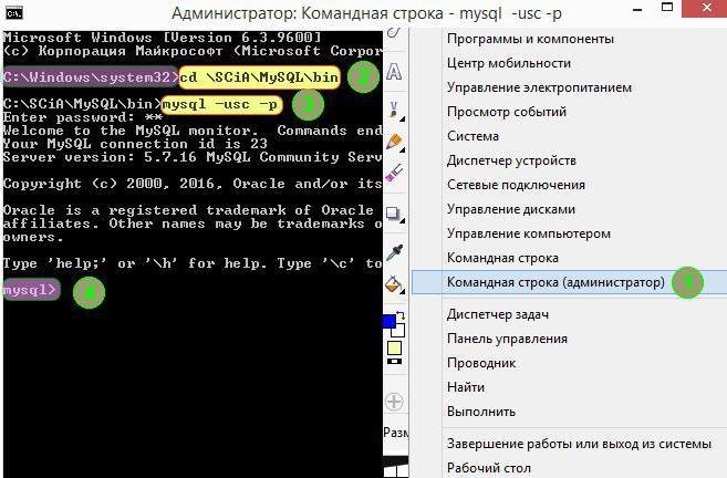 Mysql как выполнить запрос из файла