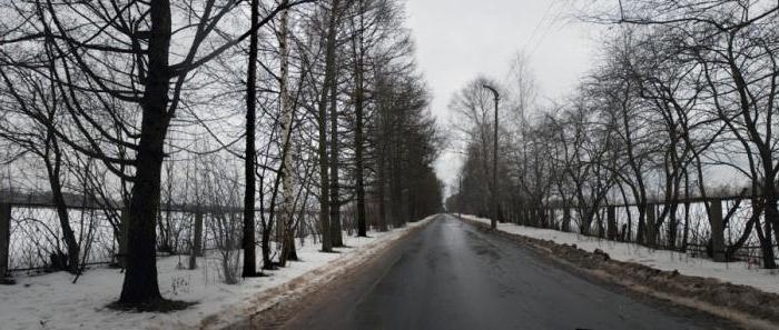 виноградово усадьба отзывы экспертов