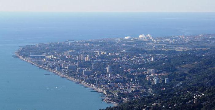 гостиница альбатрос описание номеров 