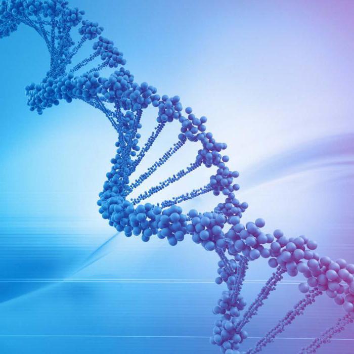 ДНК фрагментация спермы