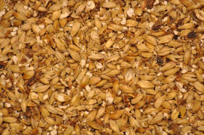 Сколько самогона получится из 10 литров пшеничной браги