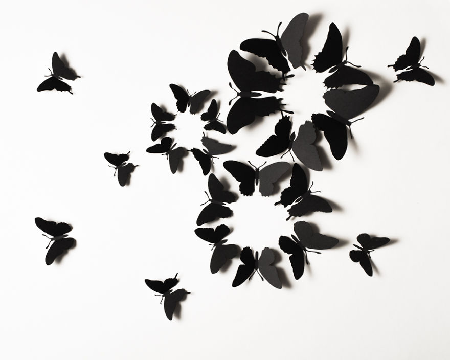Черные бабочки на стену из бумаги