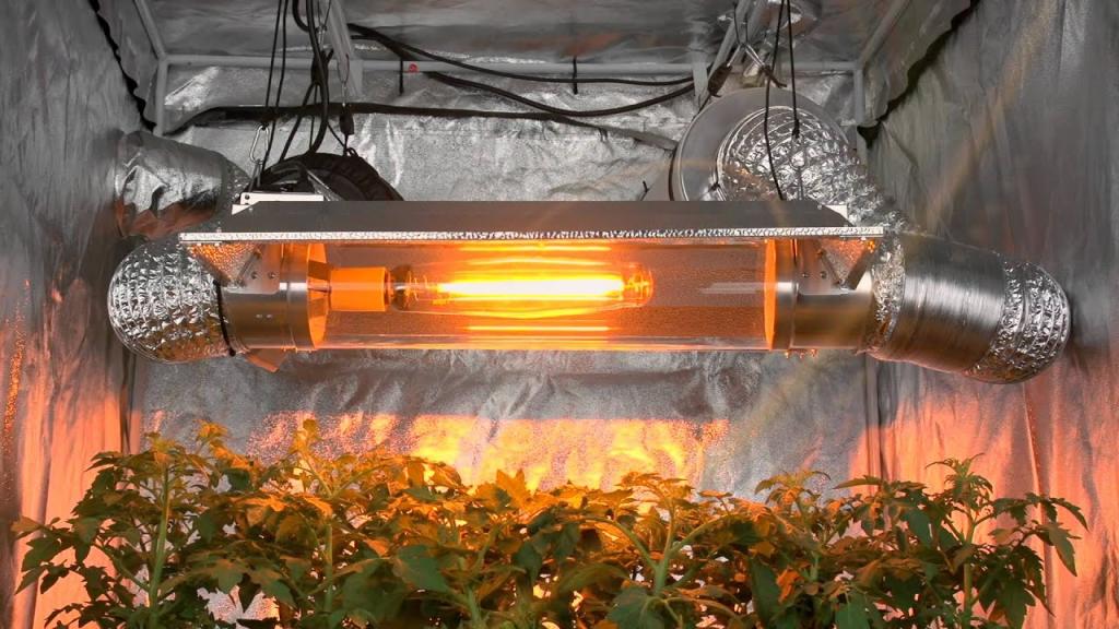 artificial lighting for growing seedlings