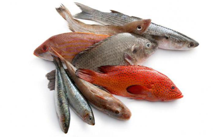 Fish: benefits and harms
