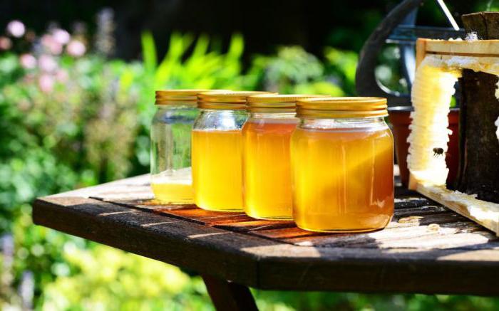 как правильно выбрать качественный мед при покупке