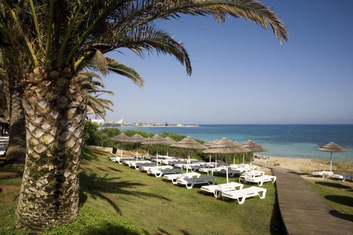 alion beach 5 айя напа