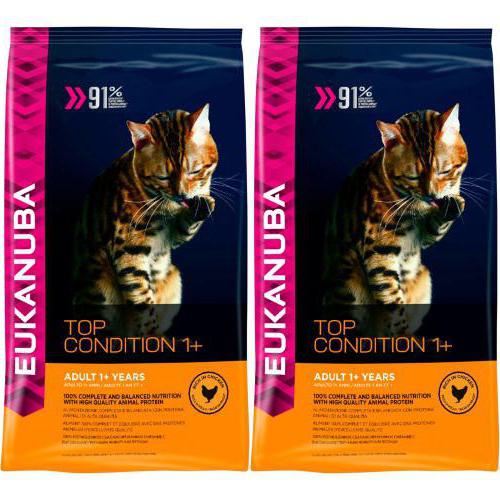 eukanuba cat food reviews