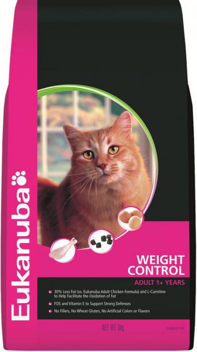 eukanuba cat food