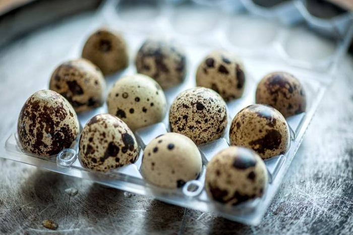  срок хранения перепелиных яиц в холодильнике