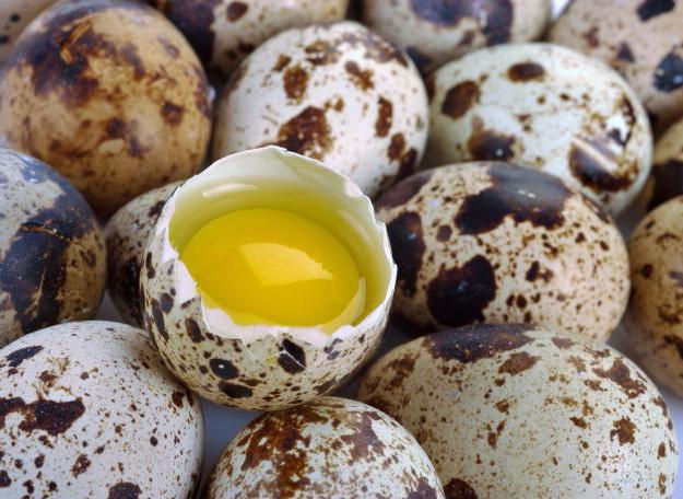  сколько можно хранить перепелиные яйца