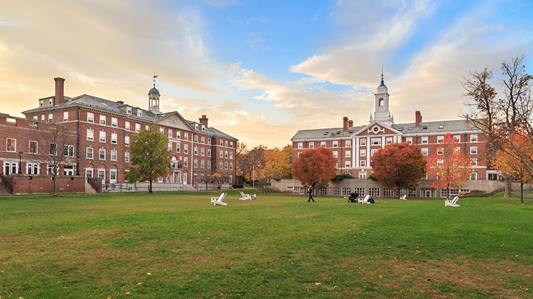 угиверситет Гарвард кампус