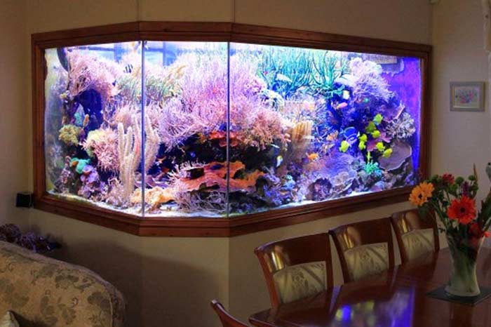 how to make a built-in aquarium in the wall