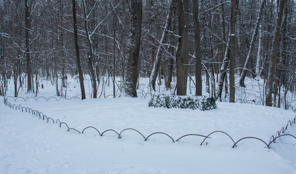 grave in winter