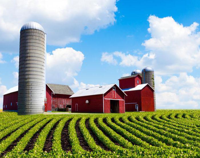 features of the purchase and sale of agricultural land