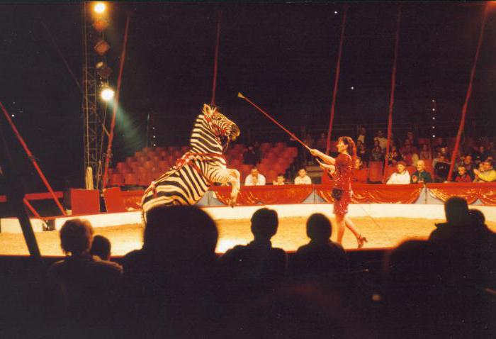 Кисловодский цирк фото