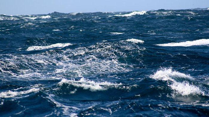 свойства океанических вод северного ледовитого океана