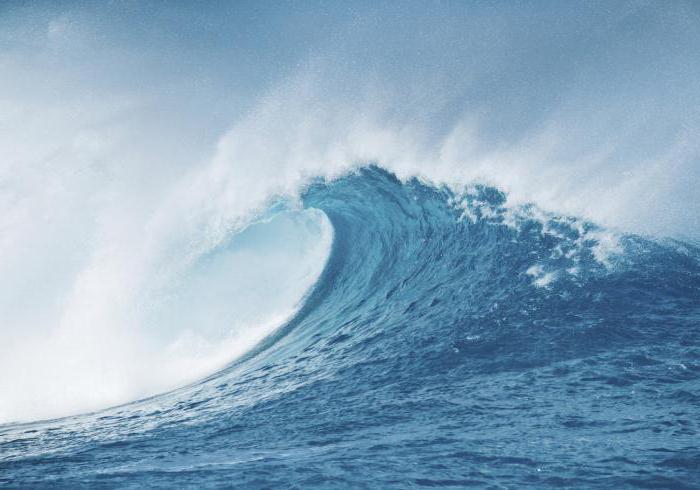 свойства океанических вод везде ли в океане они одинаковы
