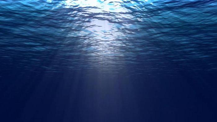 свойства океанических вод