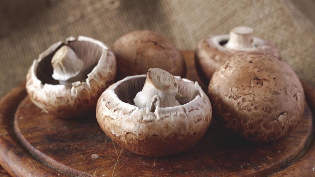 грибы шампиньоны полезные свойства