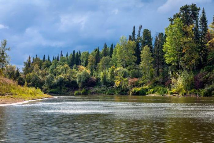 Река обь фото в хорошем качестве