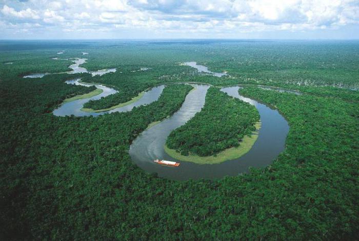 Река амазонка рисунок